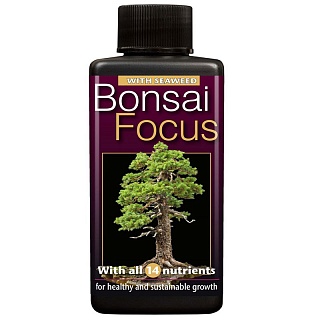 Bonsai Focus - для бонсай