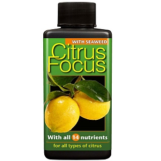Citrus Focus - для цитрусовых 