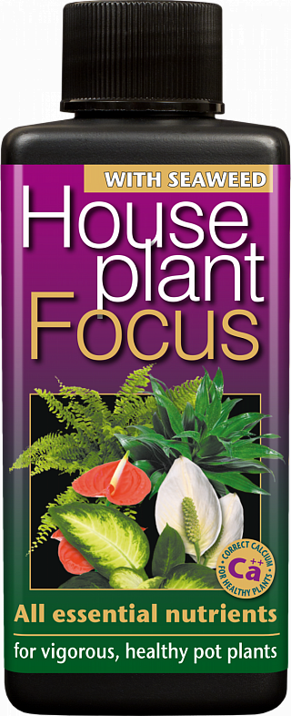 Houseplant Focus - универсальное питание для комнатных растений